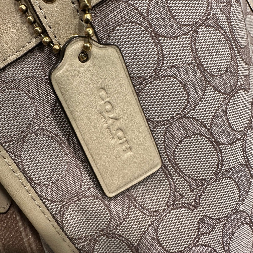 Coach Signature Beige and Brown Women's Bag